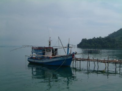 pesca 0 (5)  LABRANZA